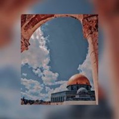 Miral Mahmoud