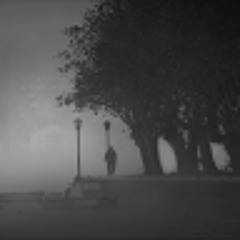 Unknown Phantom