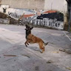 Zabranjeno pušenje   Karabaja (spot)-Zabranjeno pušenje-1d5d78c887d30b7efb020a190e8456e8.mp3