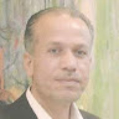 Wael Abou Assie