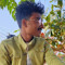 musfar