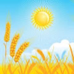 OnMyFarm