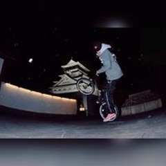 taisei