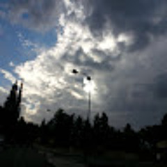 noha sharon