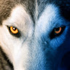 Iron_shadow_YT
