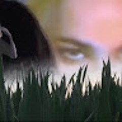 Display Name Can’t Be Empty