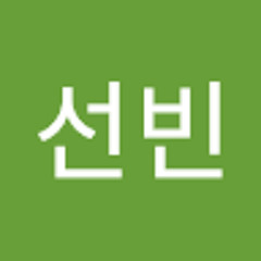 선빈