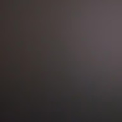 임진석