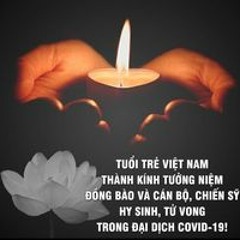 Yến Vy
