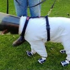 Hamish Win