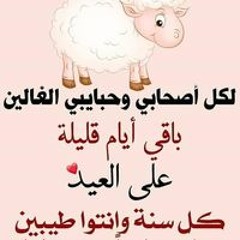 Rere Shaker