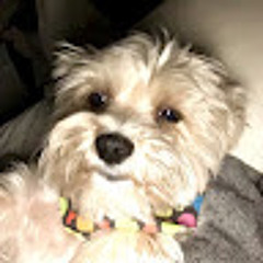 wantanemmy