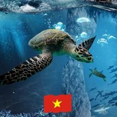 Mạnh Đình