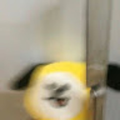 heyitsyihui