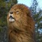Aslan Rdr