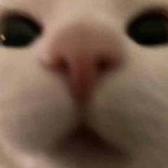 td