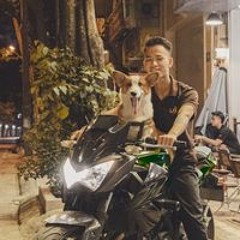 Hiếu Tổng