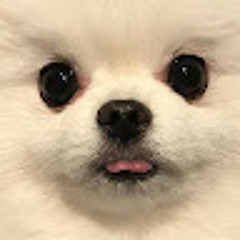 띵동