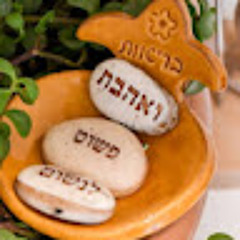 סיון עופר בתנועה