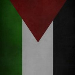 Yousif Eldadamony
