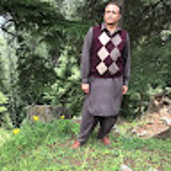 Mumtaz ahmad Shah