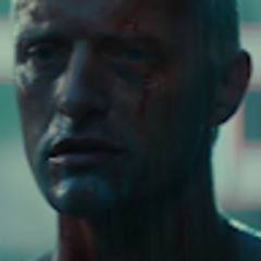 Hrvoje Hedžet