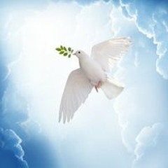 رحمه محمد