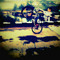 BMXER