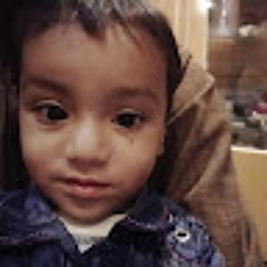 shad