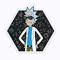 Rick Rick and Morty