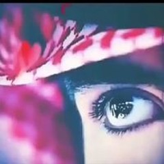 نادر غالي