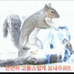 SJ KR