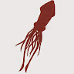 Anonymous Vampire Squid