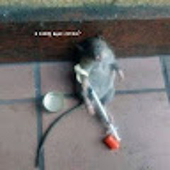 Виктория Дмитряк