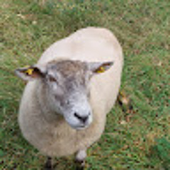 SchleimLurch