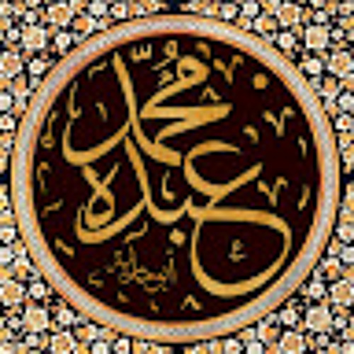 أبو مارية محمد أحمد عبده’s avatar
