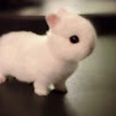 Данил Куприенко