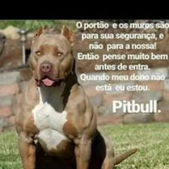 Cria Salgueiro