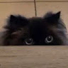 Anonymoose