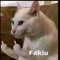 Patryk
