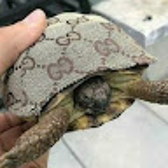 tort