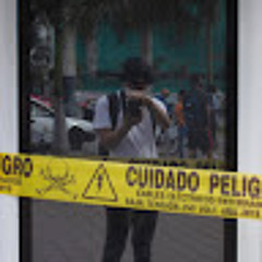 Diego Concha Rosales