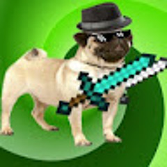 Pug of gaming