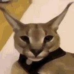Hec
