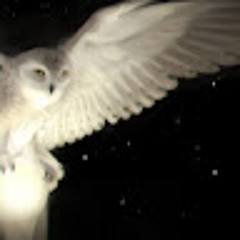 Mari_neTTa❤️🖤💀