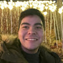 pedro britto
