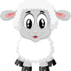 TimoTracio