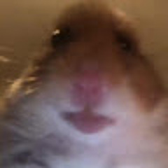 Jari