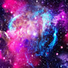 User 219226220