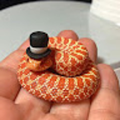 snake with hat